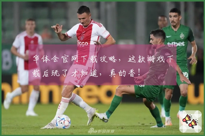 华体会官网下载攻略，这款游戏下载后玩了才知道，真的香！